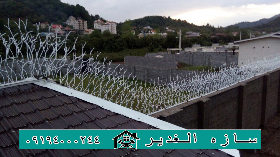 قیمت حفاظ شاخ گوزنی با کیفیت