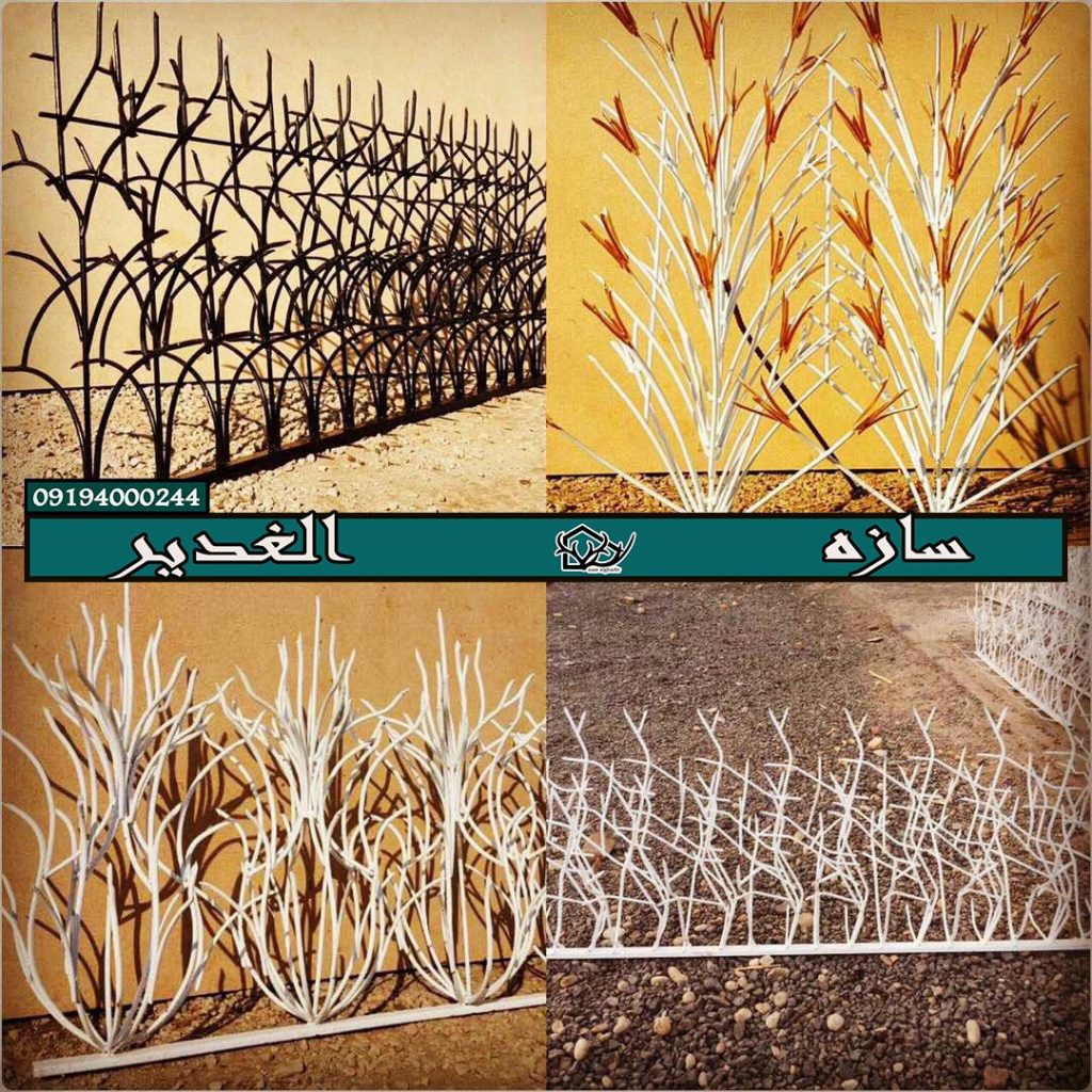 قیمت شاخ گوزنی تراکم بالا