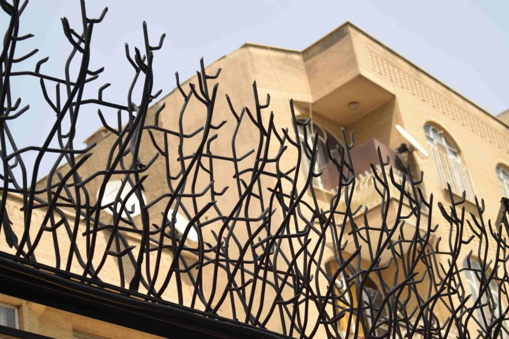 خرید حفاظ شاخ گوزنی