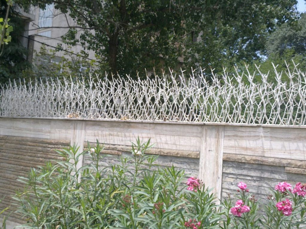 حفاظ شاخ گوزنی سازه الغدیر